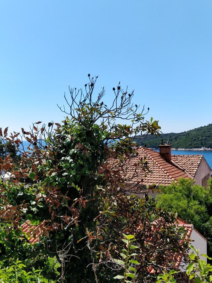 Adriatic Apartments Dubrovnik Eksteriør billede