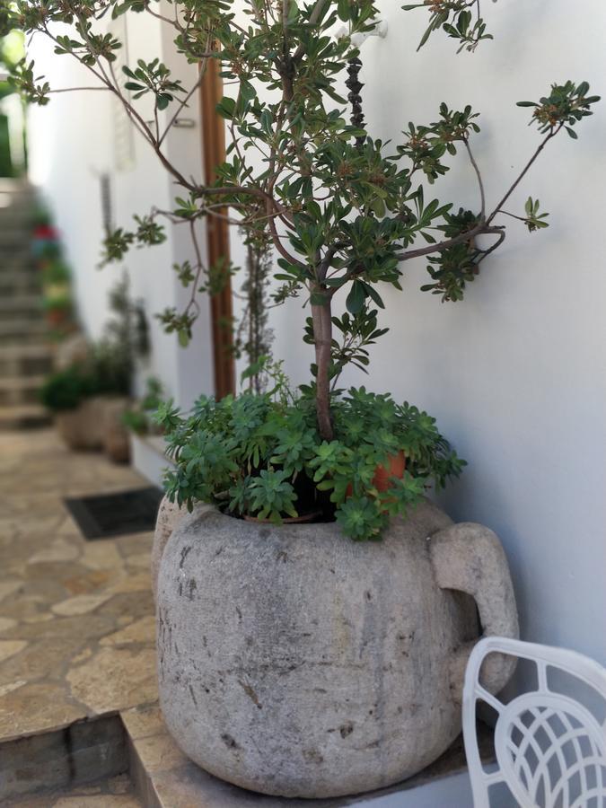 Adriatic Apartments Dubrovnik Eksteriør billede